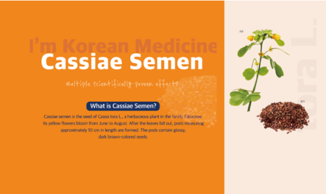 [I'm Korean Medicine] Cassiae Semen