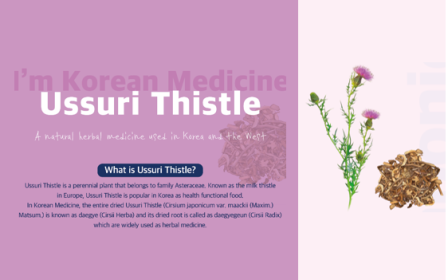 [I'm Korean Medicine] Ussuri Thistle